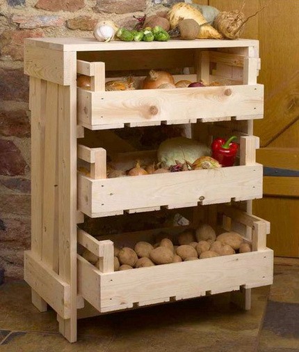 How to store vegetables properly