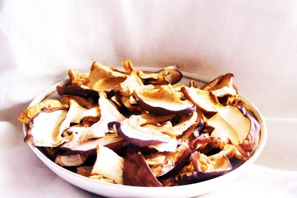 How to dry mushrooms properly