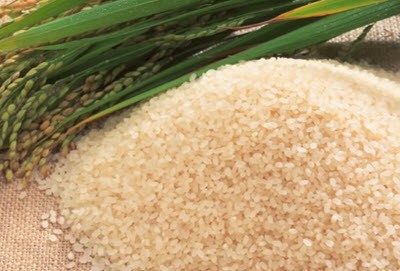 Was ist nützlicher Reis