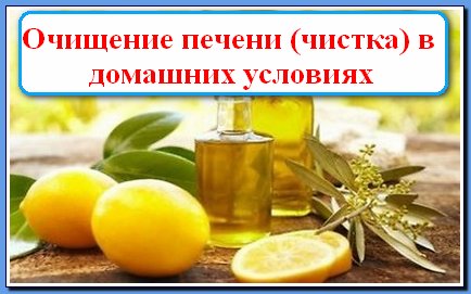 Olive oil paired with lemon restores the liver