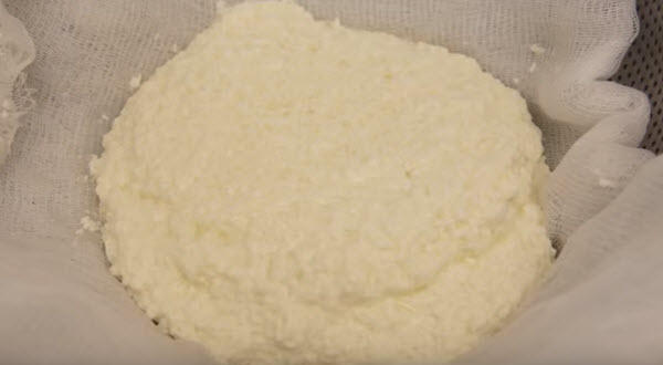 Suluguni-Käse-Rezept zum Nachkochen zu Hause