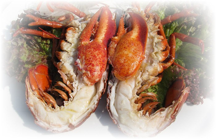Lobster Dish 
