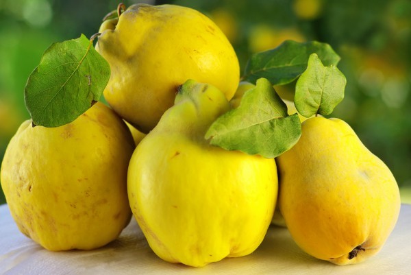 Why quince is useful and how to use it