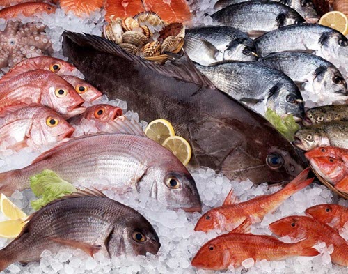 The benefits and harms of fish products for humans