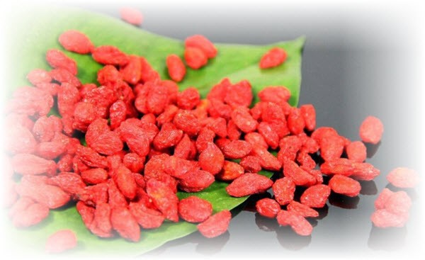 Goji berries useful properties and contraindications