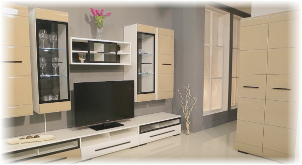 Elegant living room design ideas