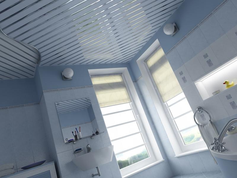 We select a suspended ceiling for the bathroom. Tips and tricks!